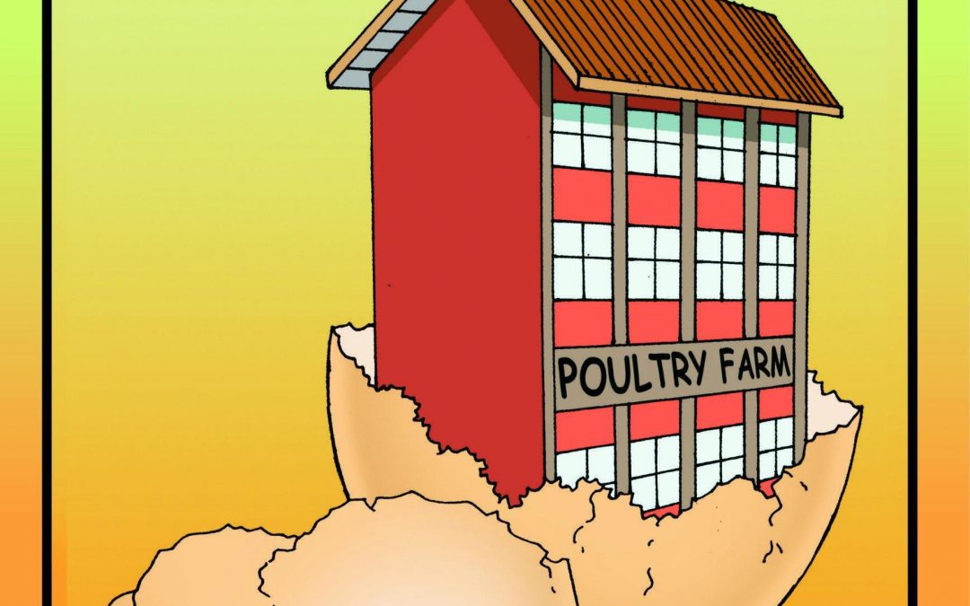 The Poultry Farm